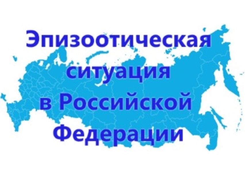 Информация об эпизоотической ситуации в Российской Федерации по состоянию на 30 августа 2020 года.